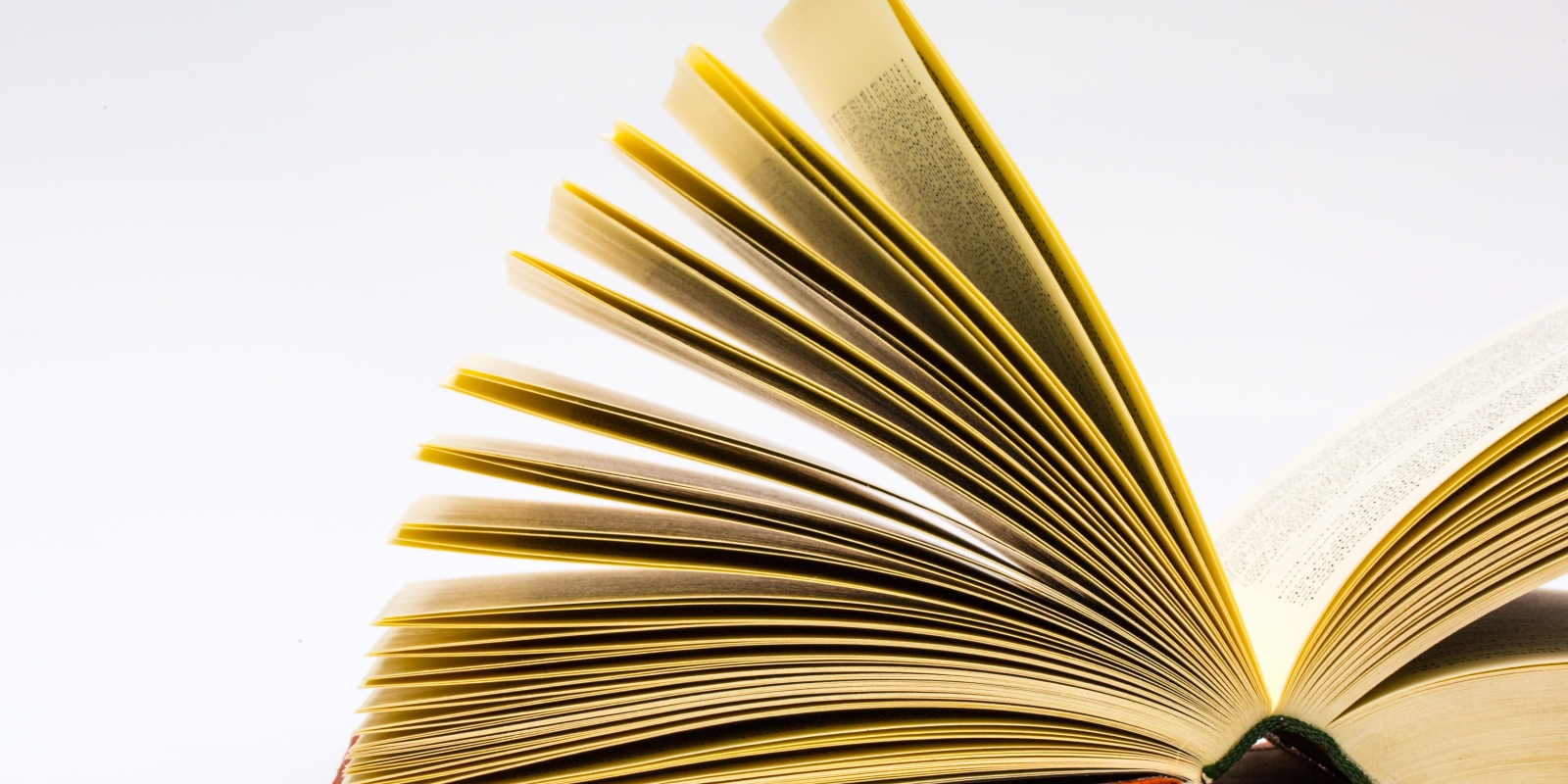 book-read-open-wing-leaf-reading-895600-pxhere.com