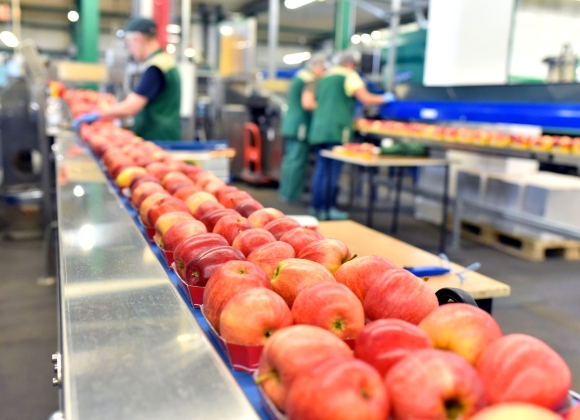 Lodiers&Partners_food_sector_image_WEB