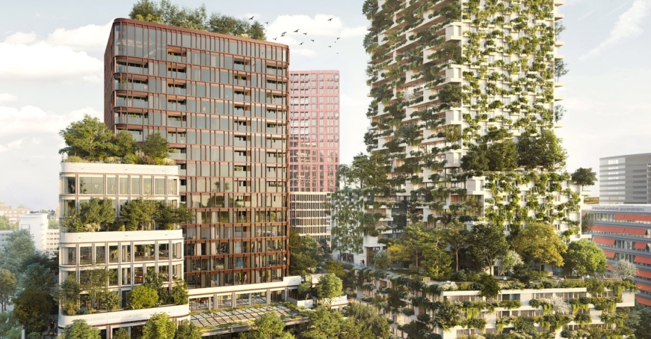 Wonderwoods Wonderwoods