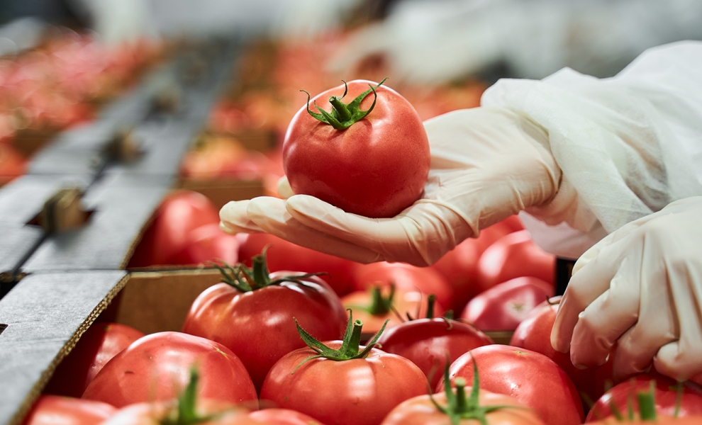 Lodiers_Food_header_V2 Lodiers_Food_header_V2